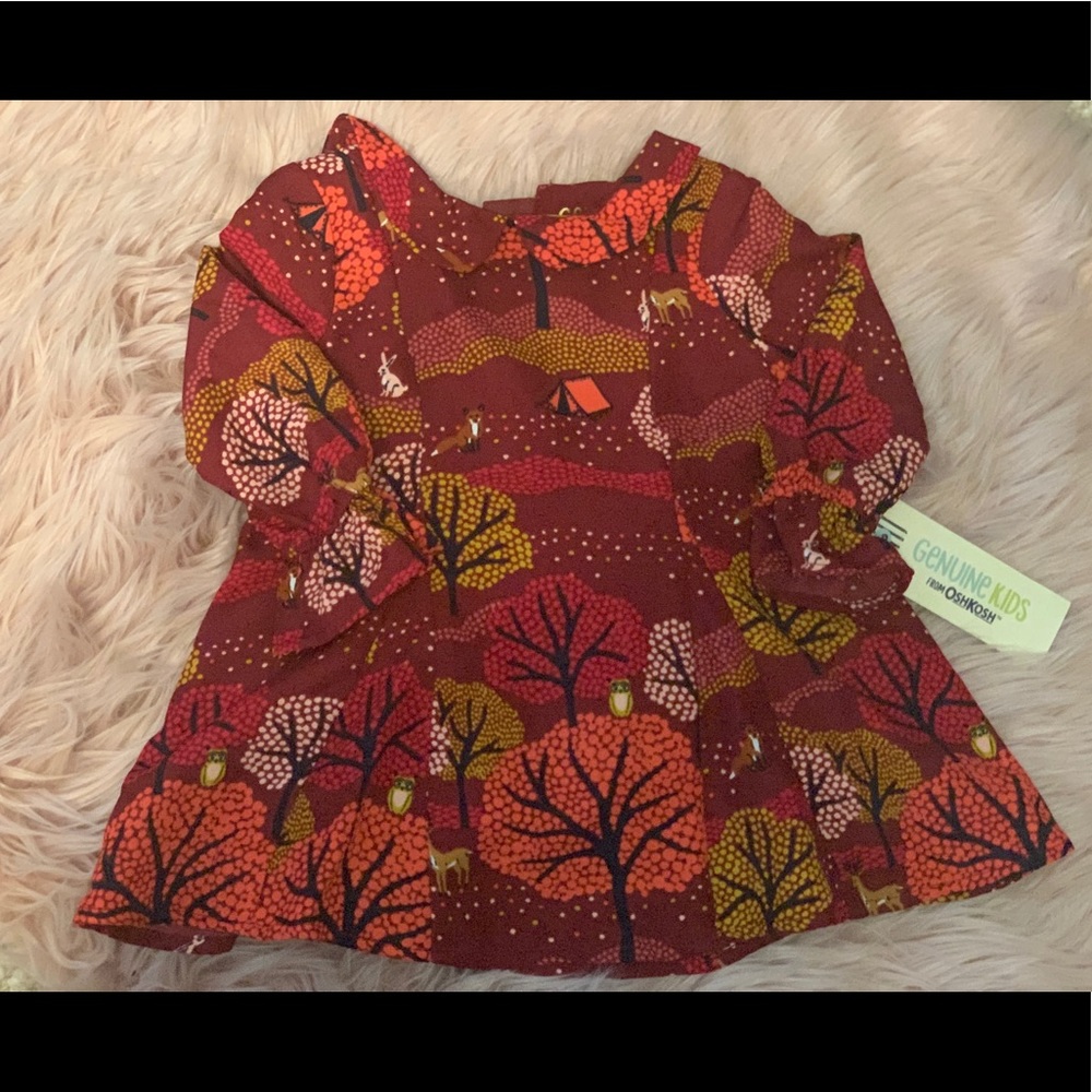 Baby Girl OshKosh Dress